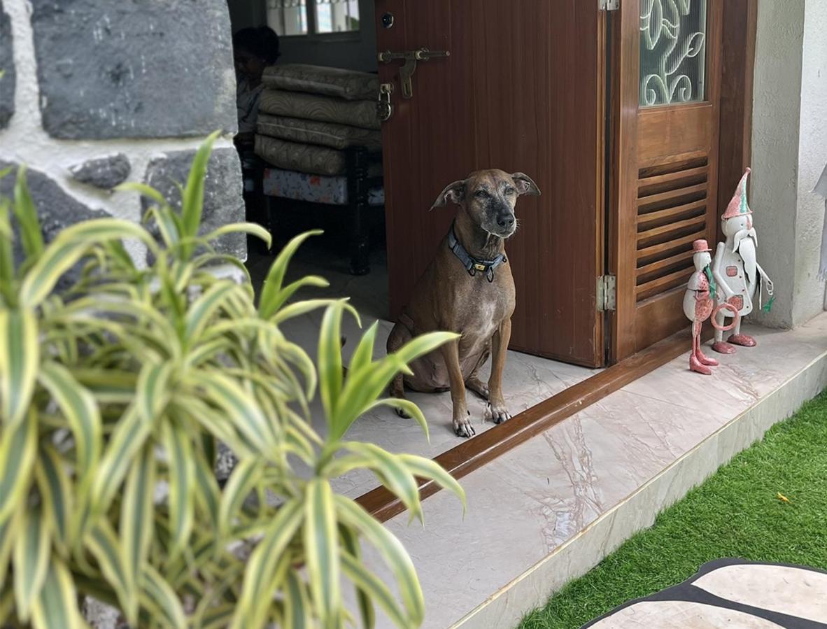 Angel House -Your Private Pet Friendly Haven Lonavala Luaran gambar
