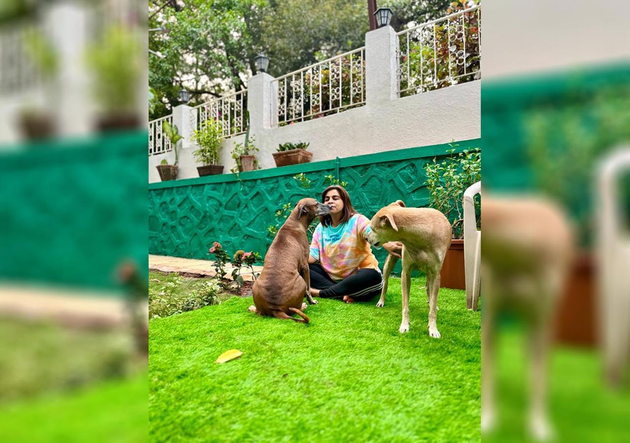 Angel House -Your Private Pet Friendly Haven Lonavala Luaran gambar